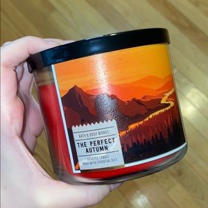 Bath and body works two fall candles!